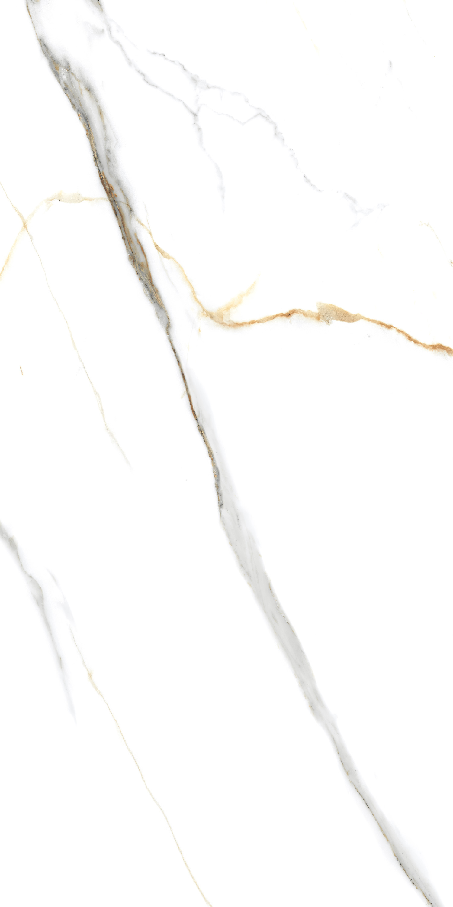 Porcelain Tile  60x120 Angel Statuario (Glossy)
